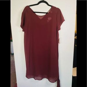 NWT FOREVER 21 SHEER DRESS w SLIP & TIES